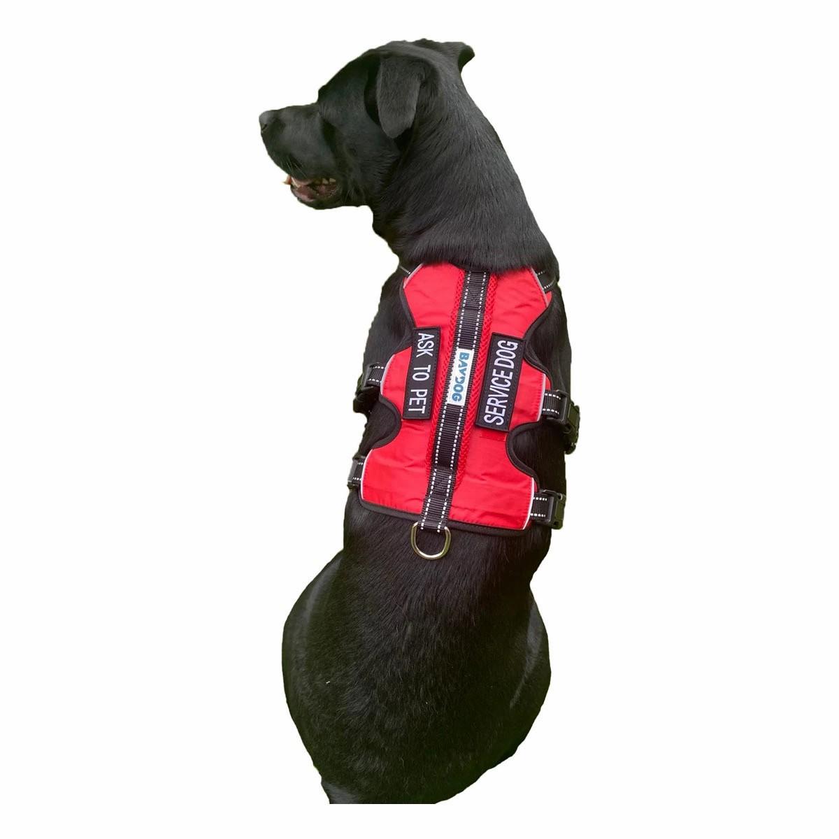 Service Dog Harness Collars & Leashes