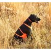 Skid Plate Dog Vest Dog Vests