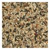 Songbird Nut & Fruit Wild Bird Food Bird Seed