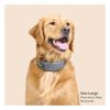 Spoton Gps Fence Dog Collar Dog Training Collars