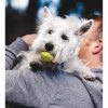 Squeakair Ball Dog Toy 3-Pack Dog Fetch Toys