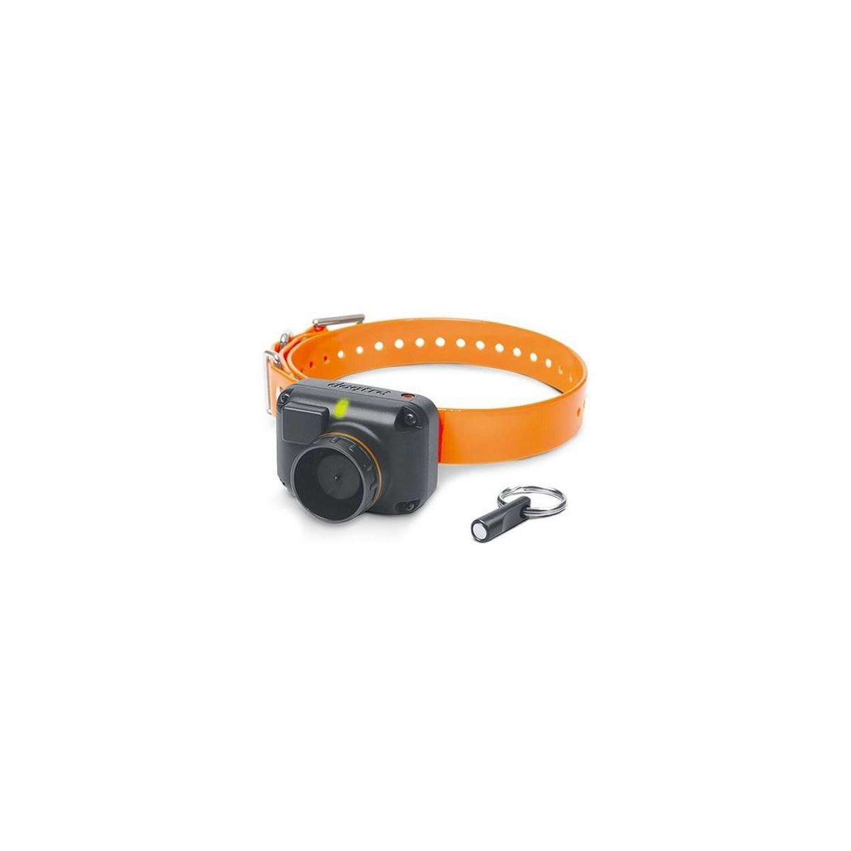 Stb Beeper Collar Dog Training Collars