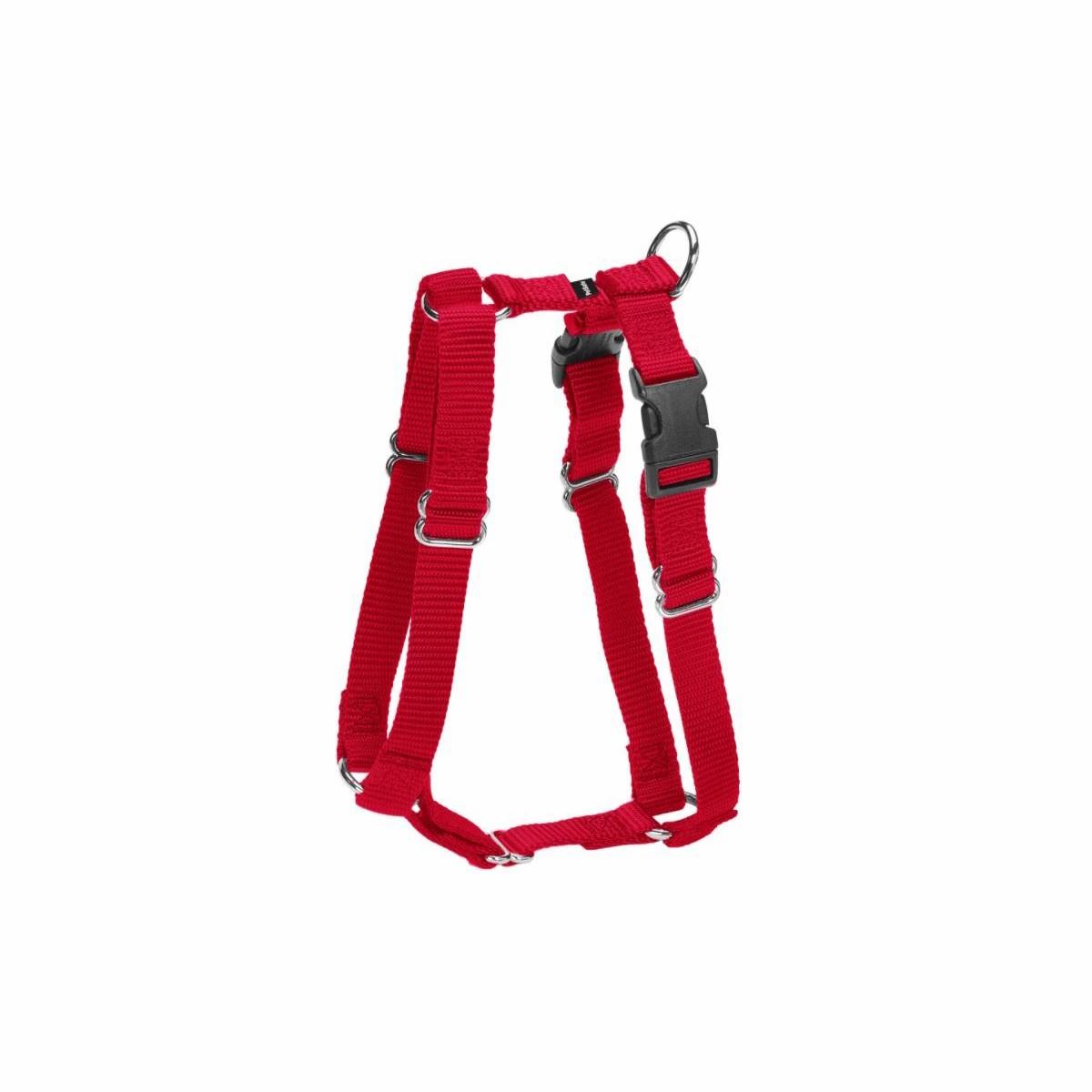 Sure-Fit Harness Collars & Leashes