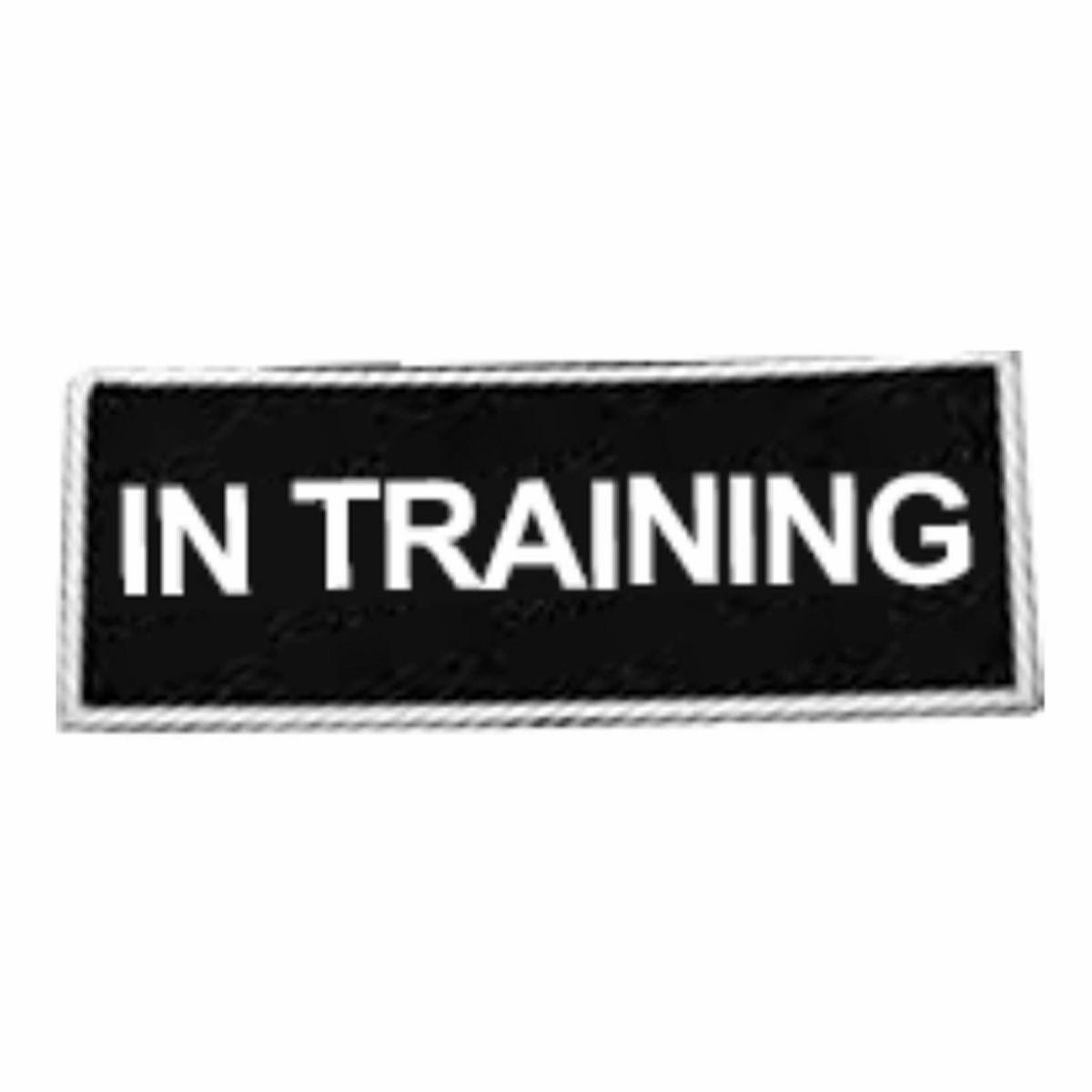 Tactical Patch For Harnesses Collars & Leashes