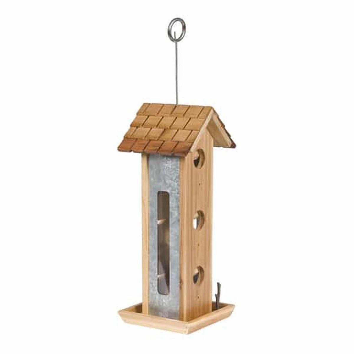 Tin Jay Bird Feeder Bird Seed