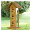 Tin Jay Bird Feeder Bird Seed