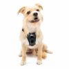 Tru-Fit Smart Dog Harness Collars & Leashes