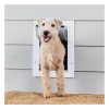 Wall Entry Pet Door Dog Doors