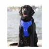 Chesapeake Harness Collars & Leashes