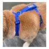 Chesapeake Harness Collars & Leashes