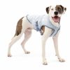 Core Cooling Dog Vest Dog Vests