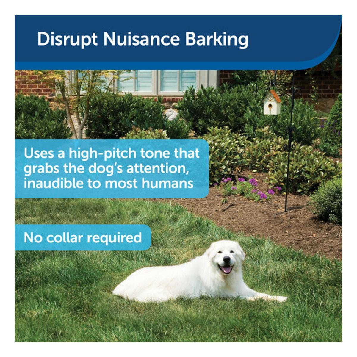 Outdoor Bark Deterrant Bark Control