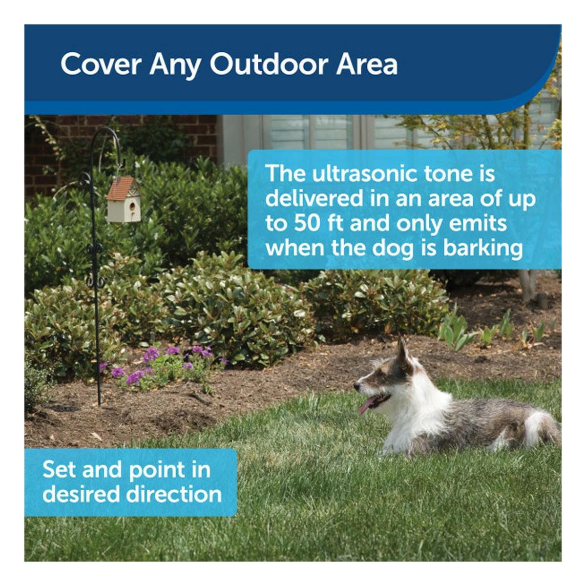 Outdoor Bark Deterrant Bark Control