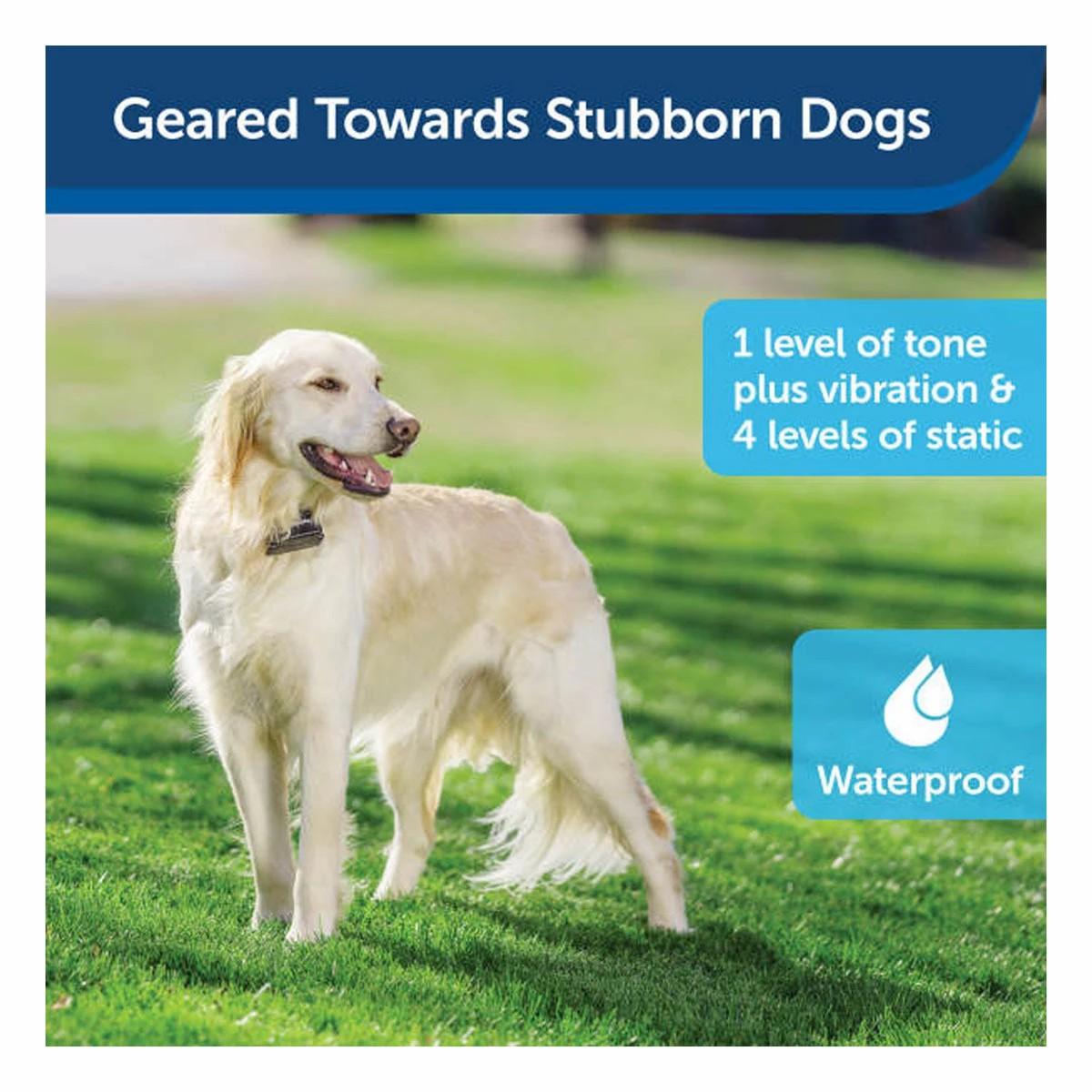 Stubborn Dog In-Ground Fence Pet Fences & Barriers