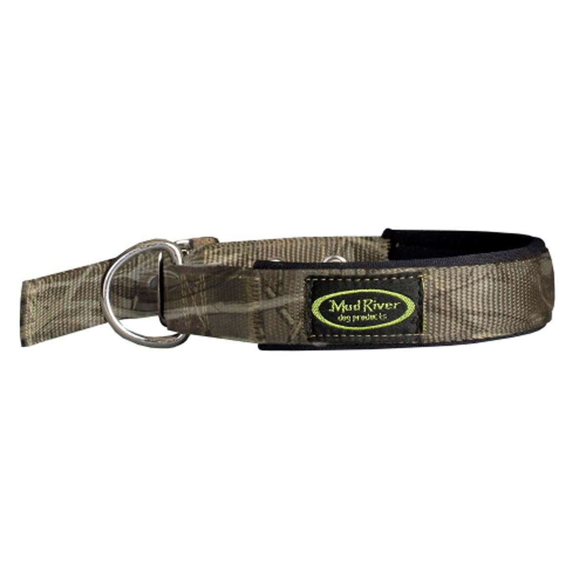 Swagger Collar Collars & Leashes