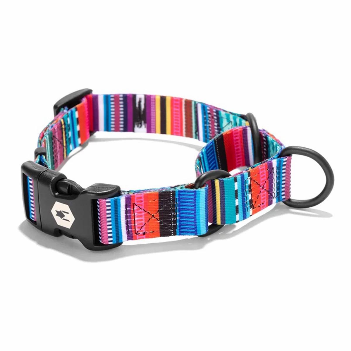 Dog Collar Collars & Leashes