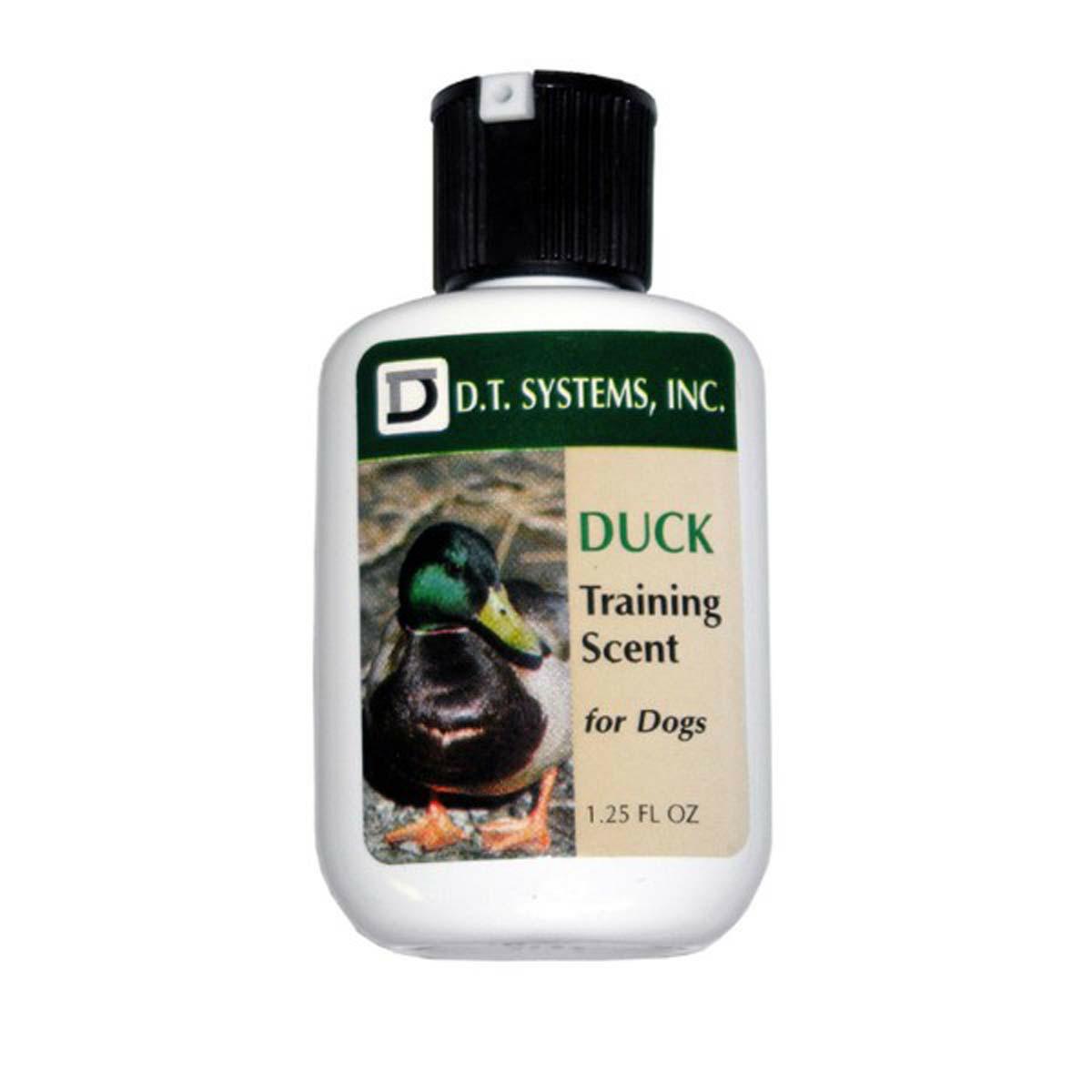 Duck Training Scent Dog Training